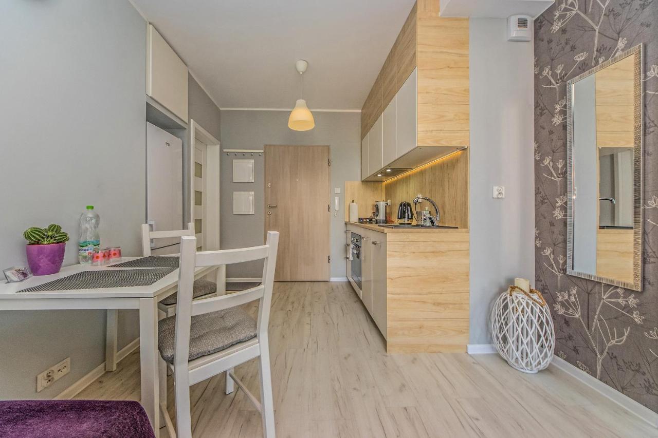 Apartament Lux Pruszcz Gdański Exteriér fotografie