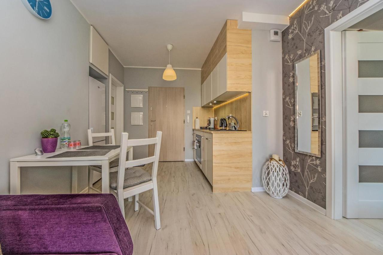 Apartament Lux Pruszcz Gdański Exteriér fotografie