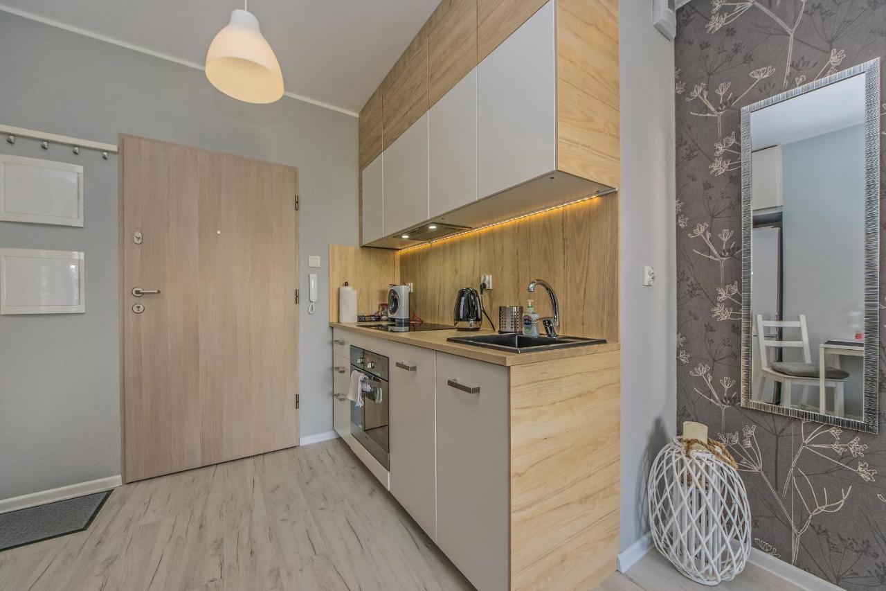 Apartament Lux Pruszcz Gdański Exteriér fotografie